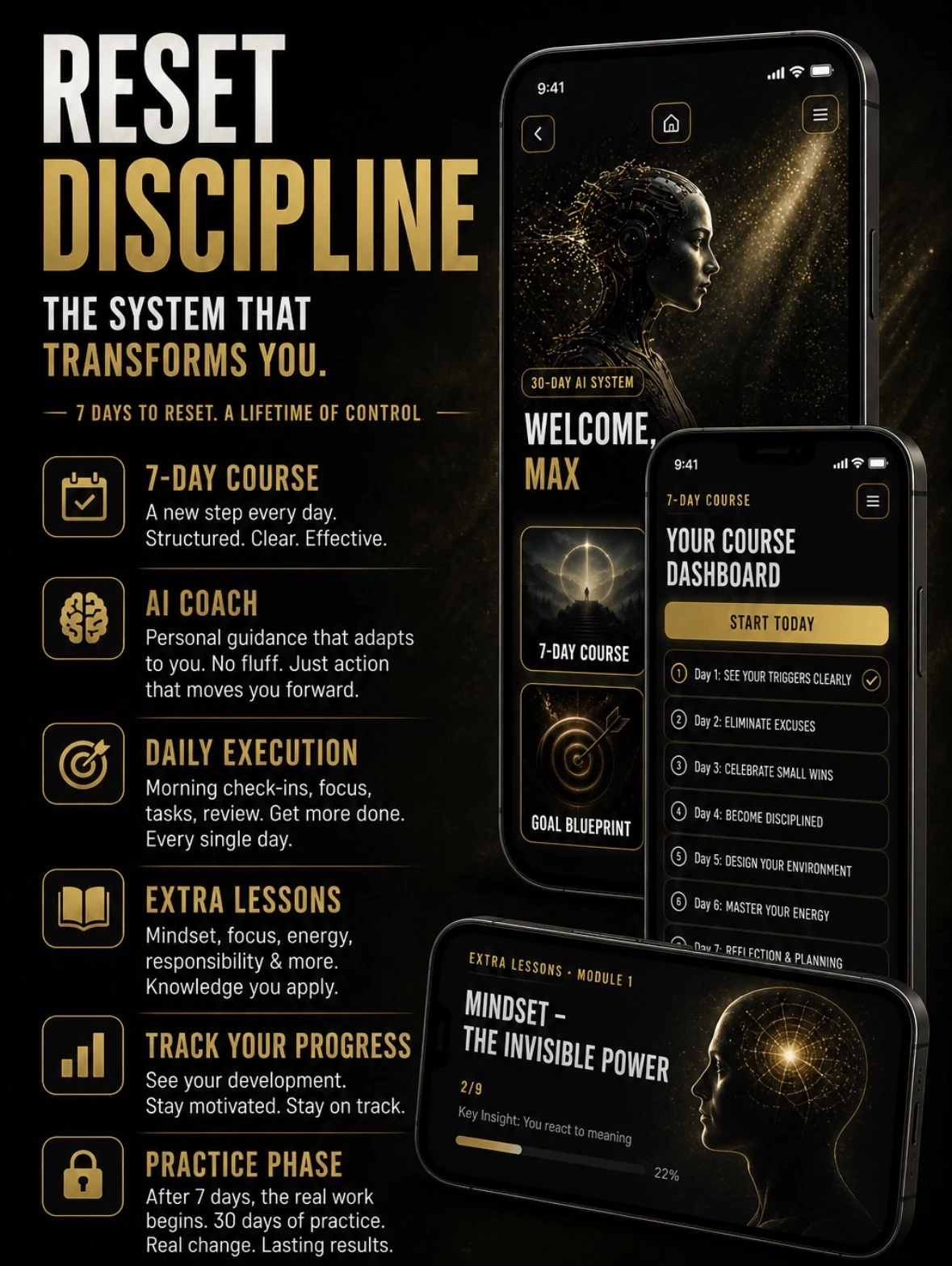 Reset Discipline full system overview in black and gold premium style